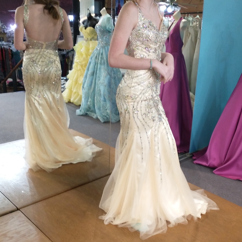 Envious by Karishma evening gown